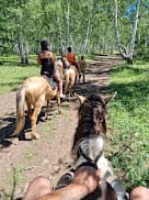 СКАЧЕМ К ВОДОПАДУ! 2 часа Абсолютного Счастья!