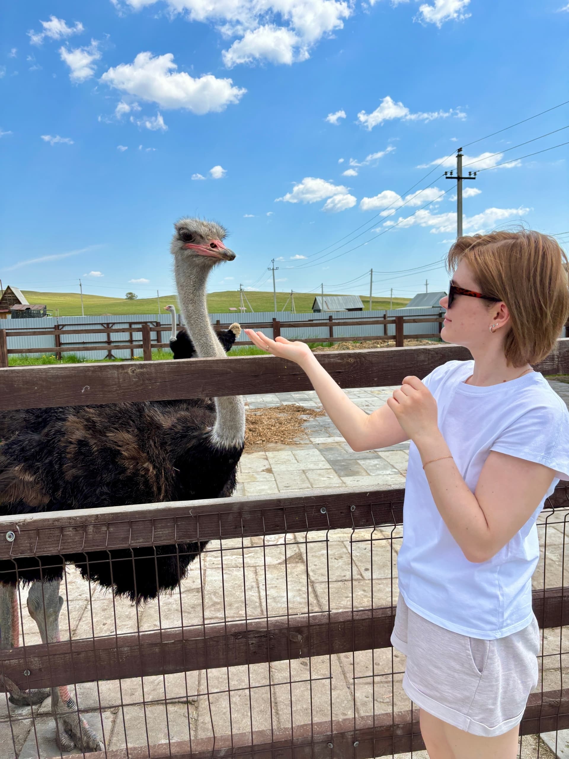 Контактный зоопарк "Зверятово" ПОРЦИЯ СЧАСТЬЯ и ХАОСА!
