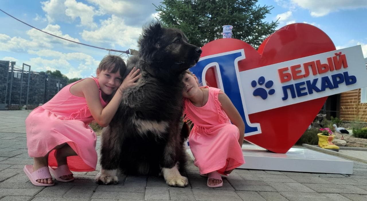 "БЕЛЫЙ ЛЕКАРЬ": Не Питомник, а ВАШ ИСТОЧНИК РАДОСТИ!